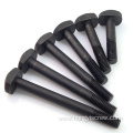 Customized Black Oxide Square Head T Type Bolts